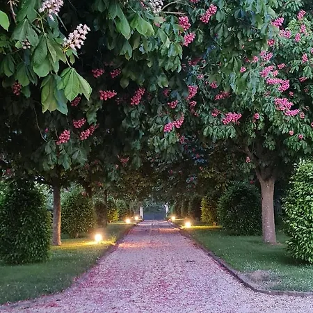 La Explorator - Manoir Des Marronniers I Sully (Calvados)